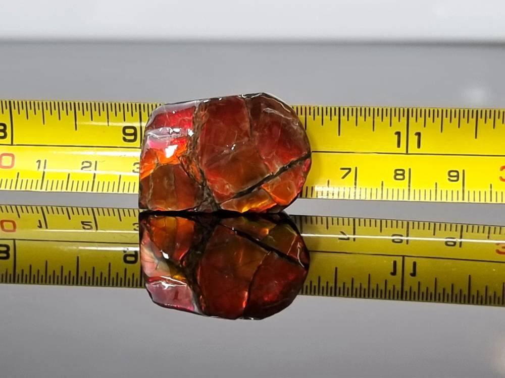 40) Ammolite Crystal Gemstone