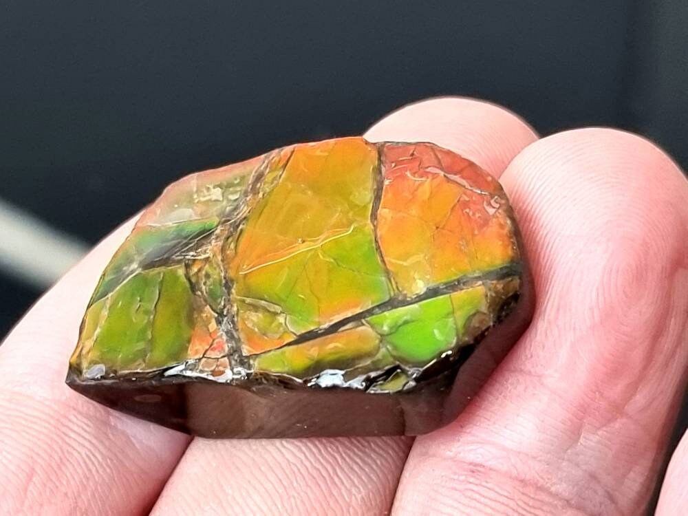 40) Ammolite Crystal Gemstone