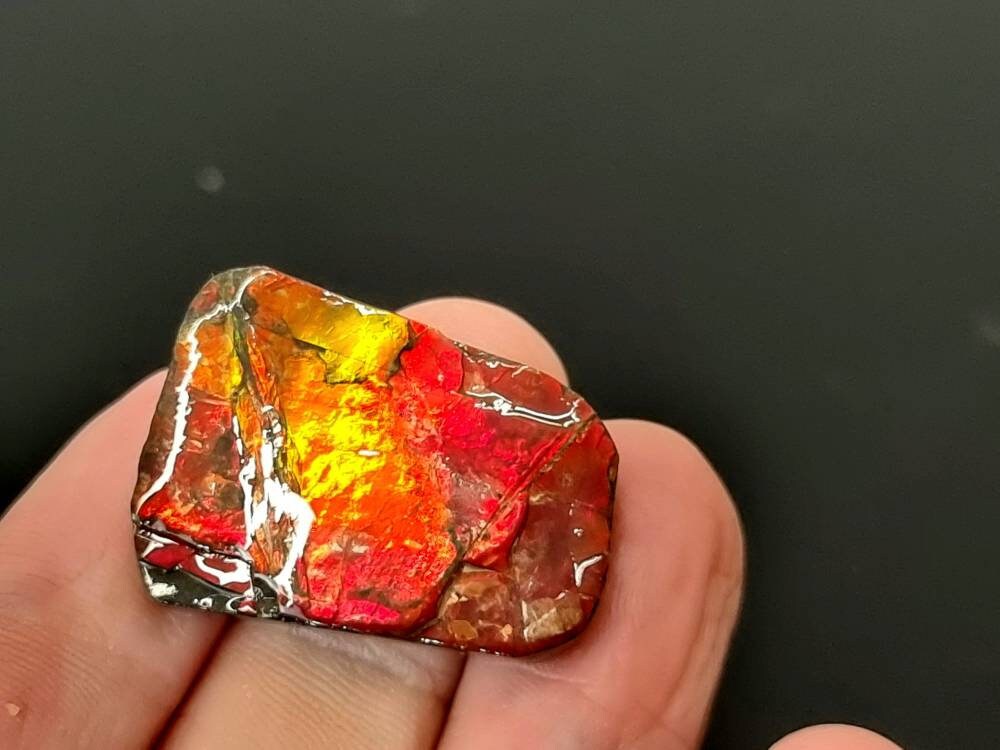 38) Ammolite Crystal Gemstone