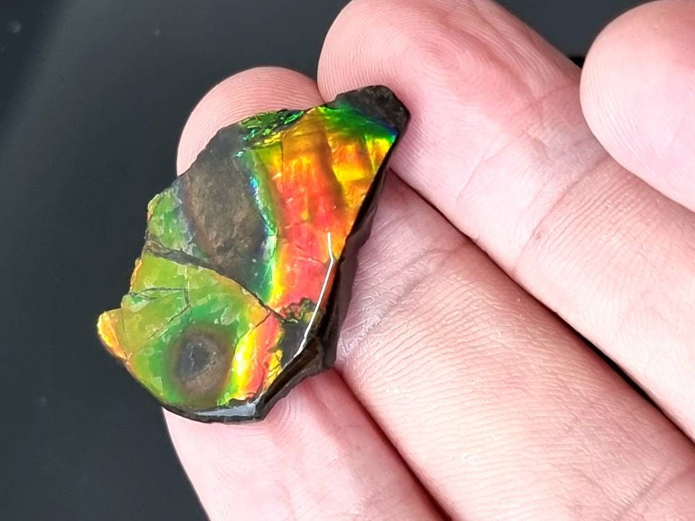 36) Ammolite Crystal Gemstone