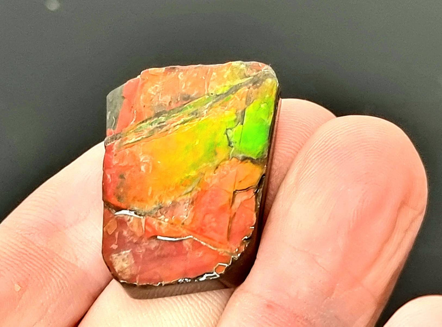 38) Ammolite Crystal Gemstone
