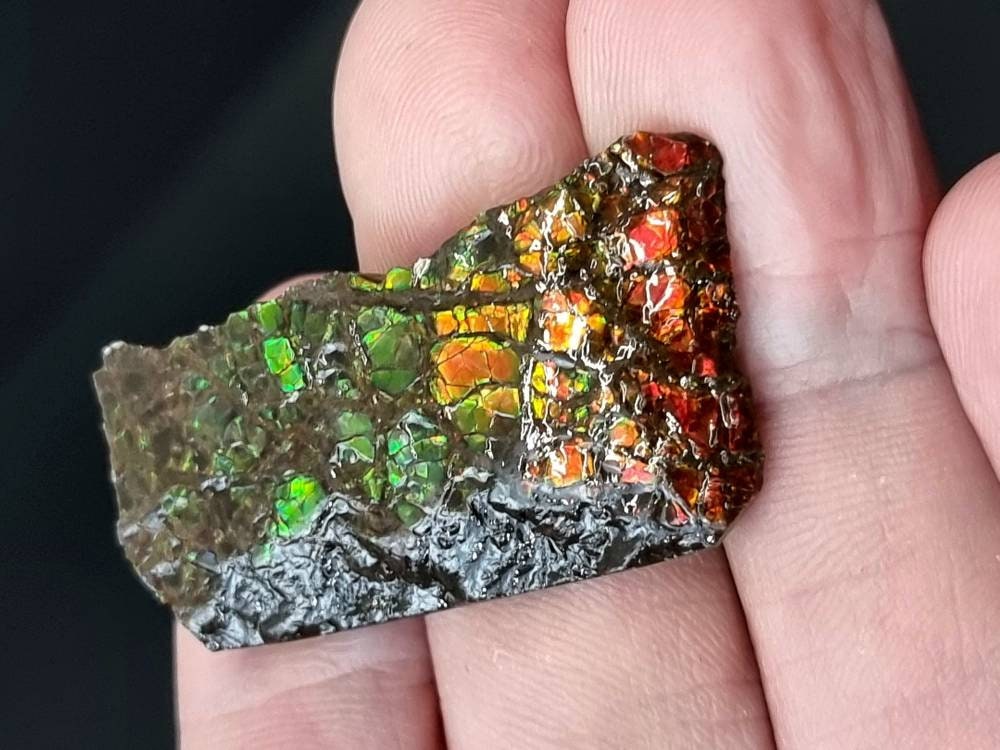26) Ammolite Crystal Gemstone