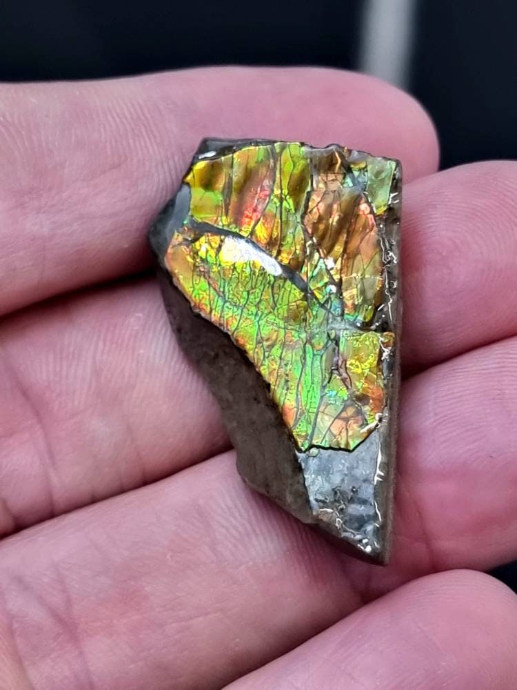 24) Ammolite Crystal Gemstone