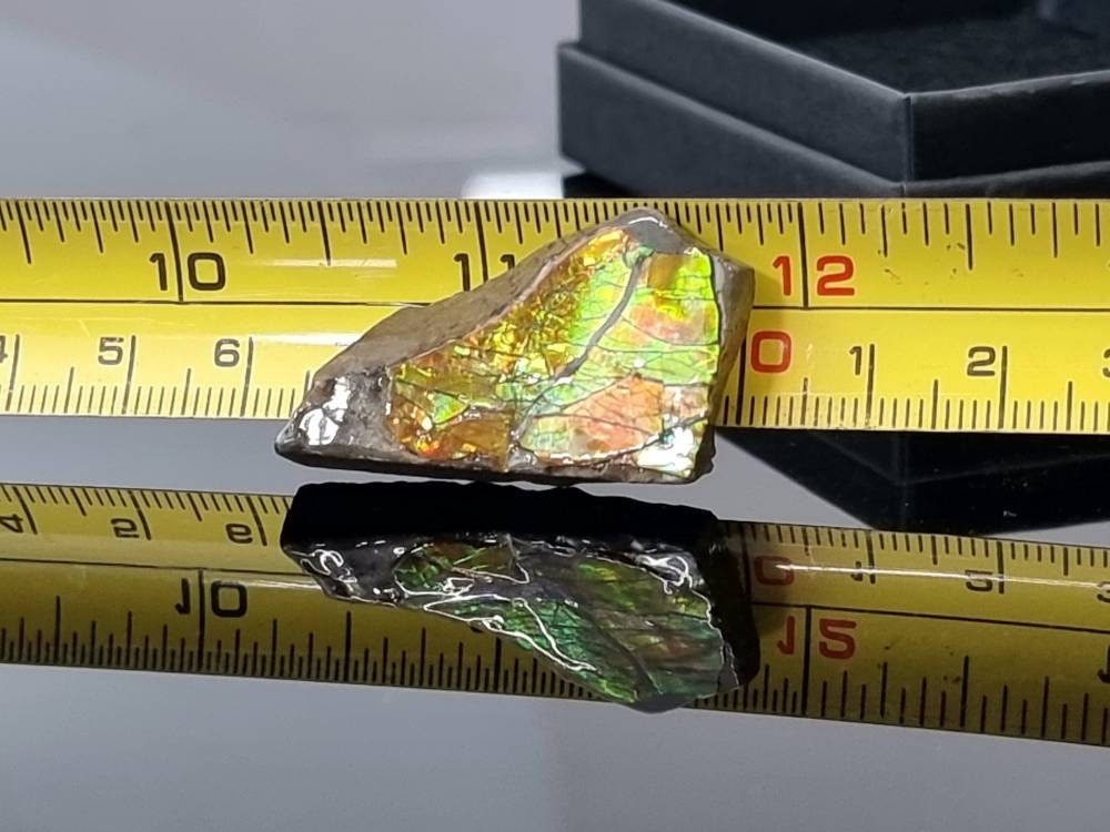 24) Ammolite Crystal Gemstone
