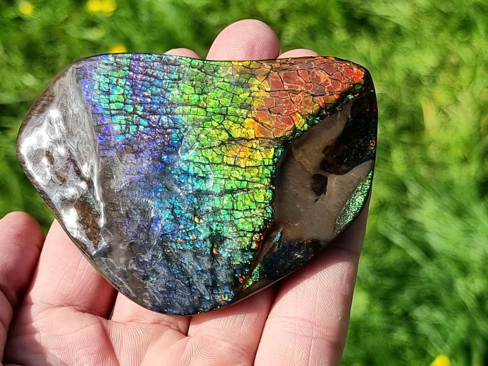 25ap) Ammolite Crystal Gemstone