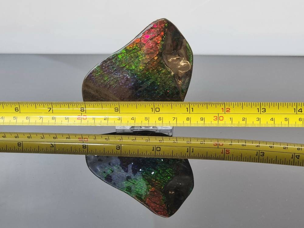 25ap) Ammolite Crystal Gemstone