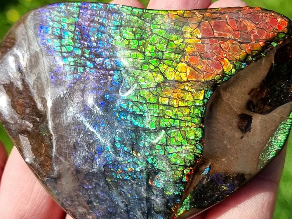25ap) Ammolite Crystal Gemstone