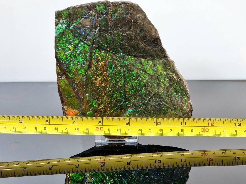 Large Ammolite Crystal Gemstone