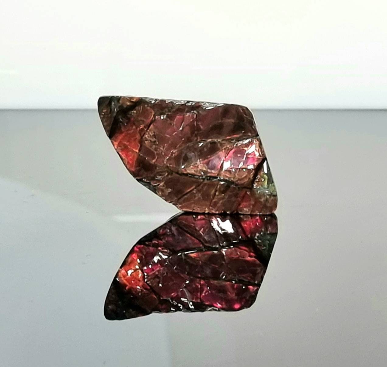 ammolite crystal gemstone canada