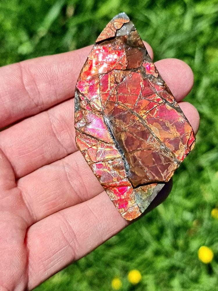 22ap) Ammolite Crystal Gemstone