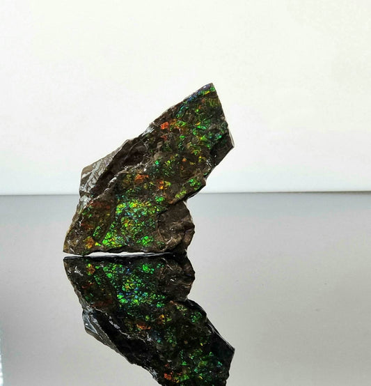 ammolite crystal gemstone canada