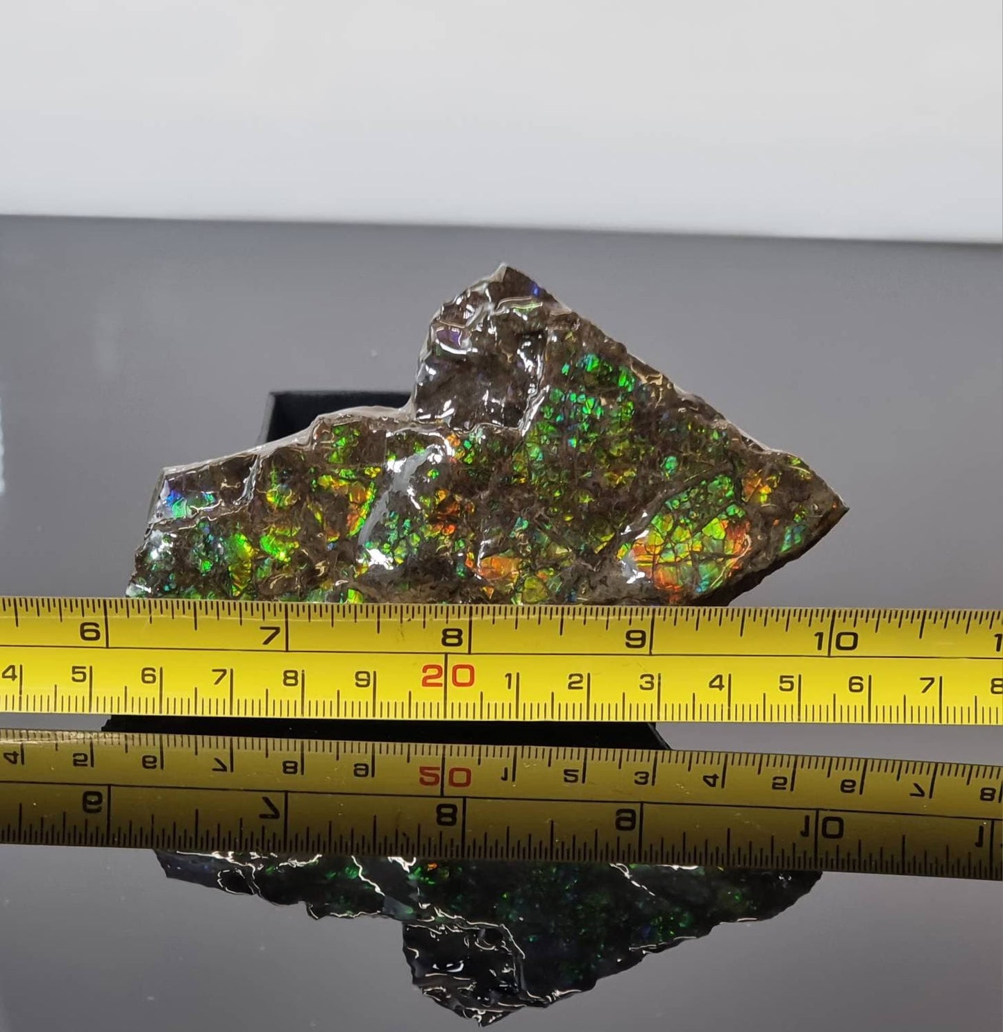 20ap) Ammolite Crystal Gemstone