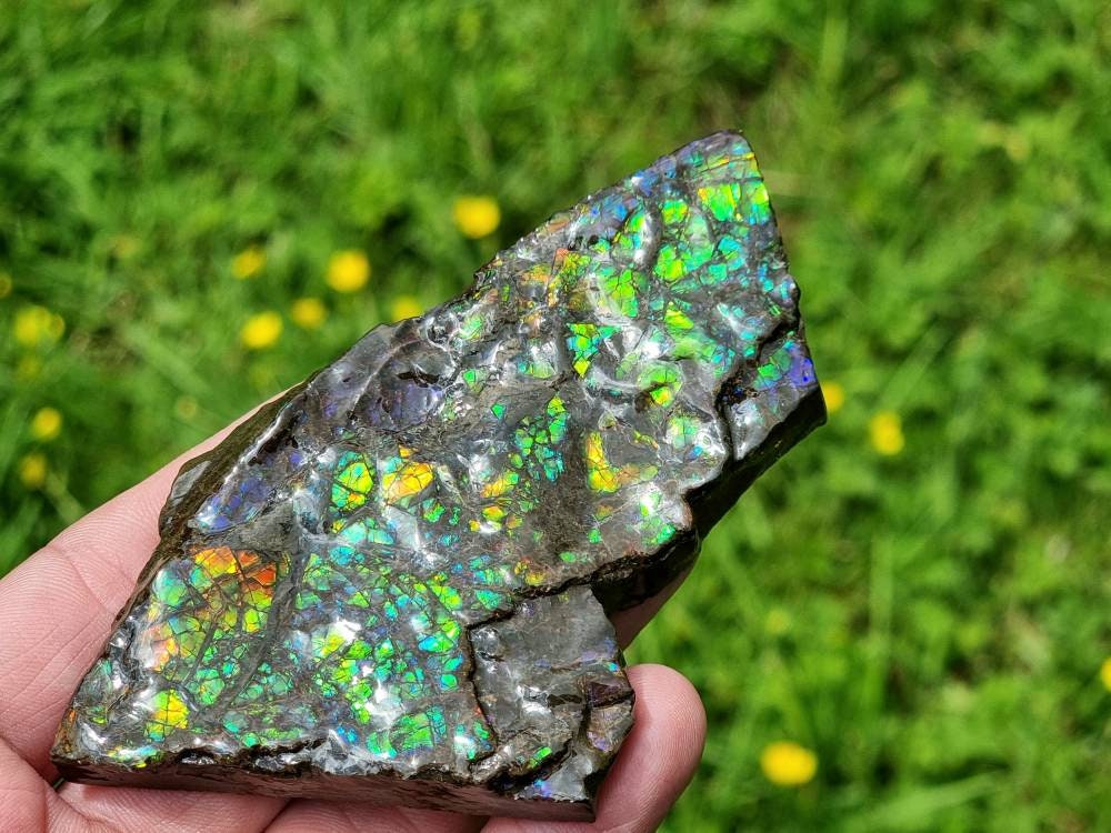 20ap) Ammolite Crystal Gemstone
