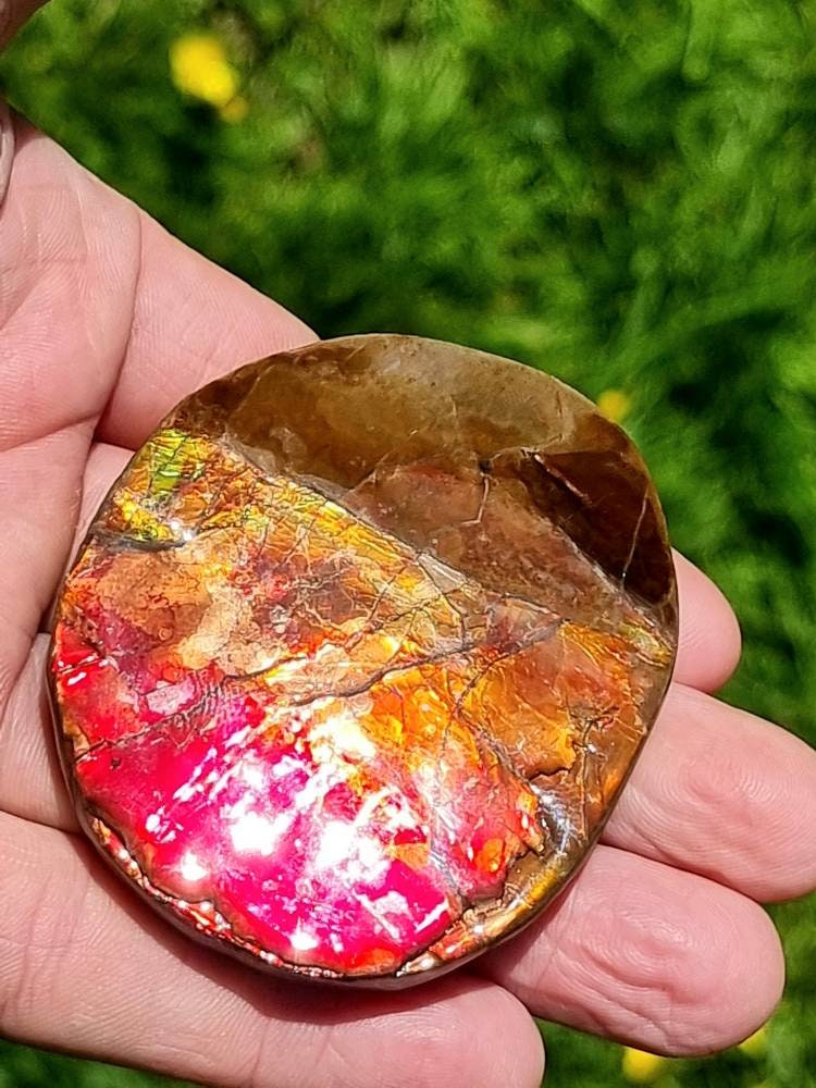 ammolite crystal gemstone canada red gold