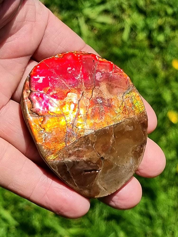 18ap) Ammolite Crystal Gemstone