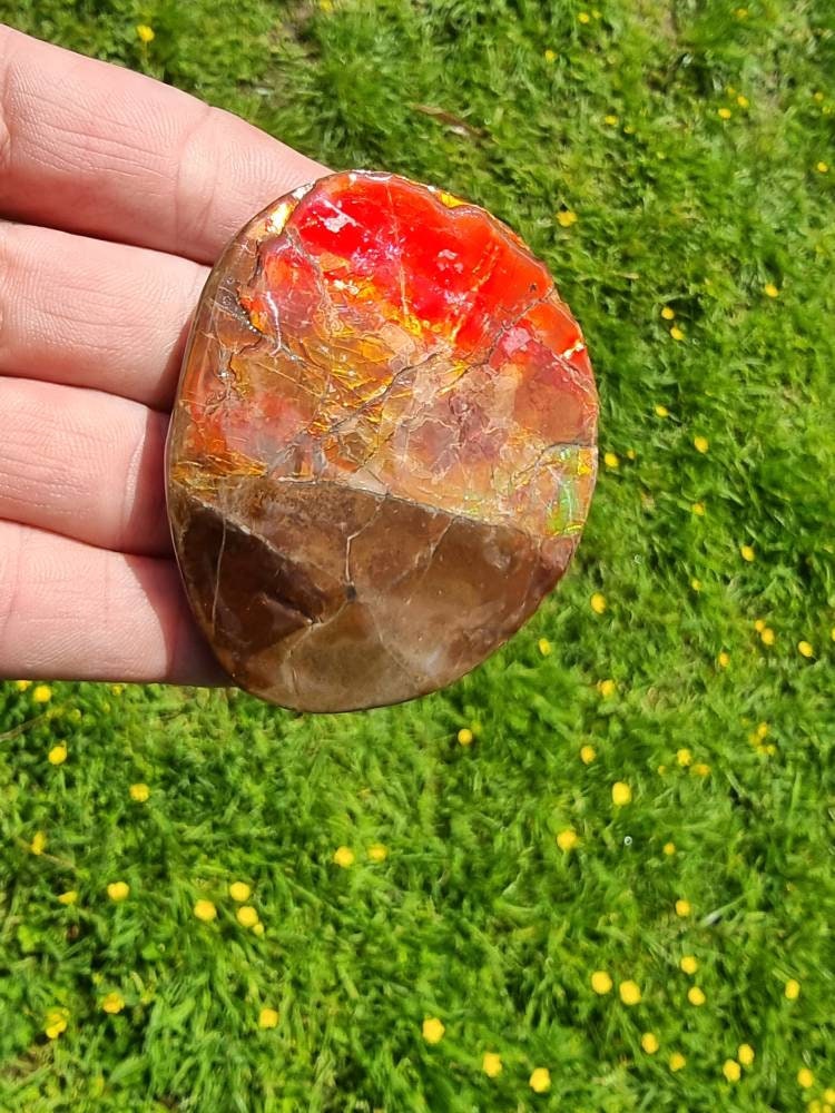 18ap) Ammolite Crystal Gemstone
