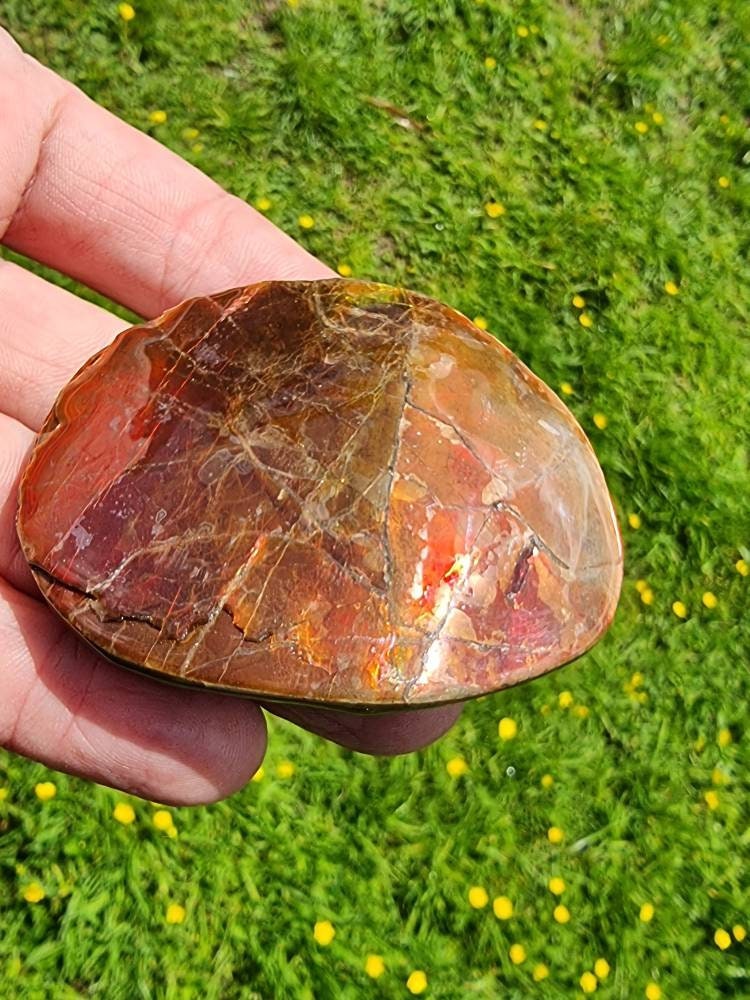 18ap) Ammolite Crystal Gemstone