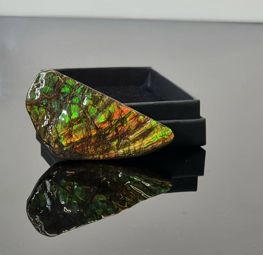 ammolite crystal gemstone canada