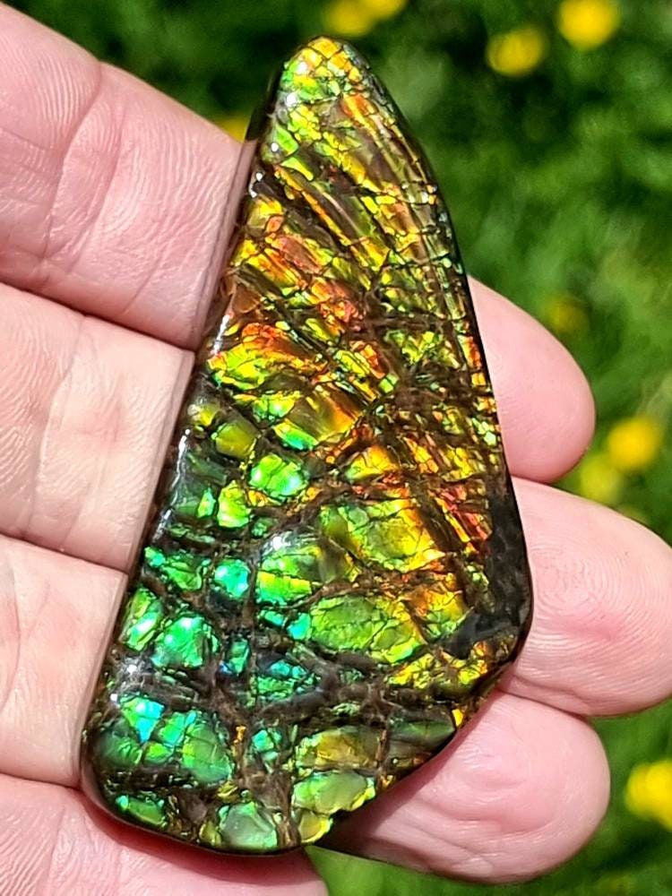 16ap) Ammolite Crystal Gemstone