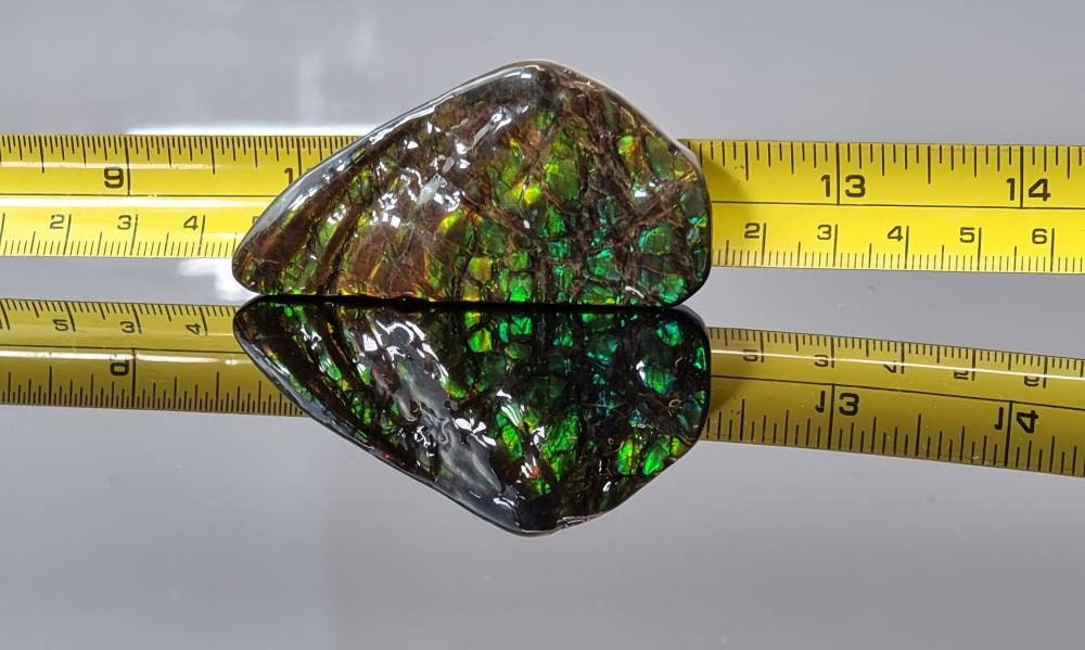 16ap) Ammolite Crystal Gemstone