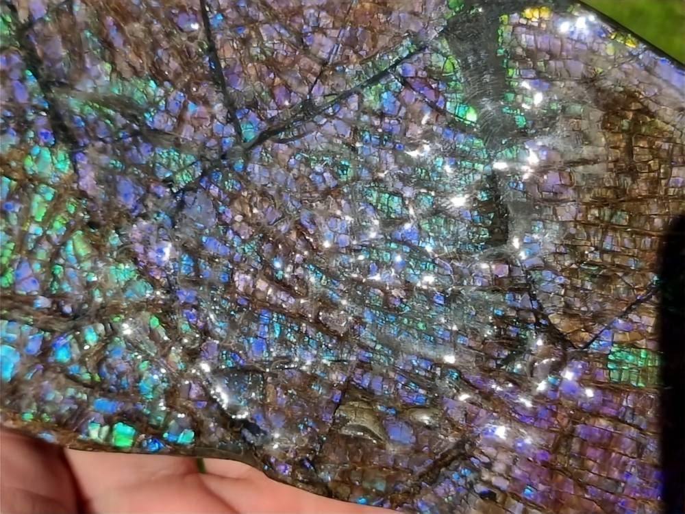 generation gemstone ammolite for sale