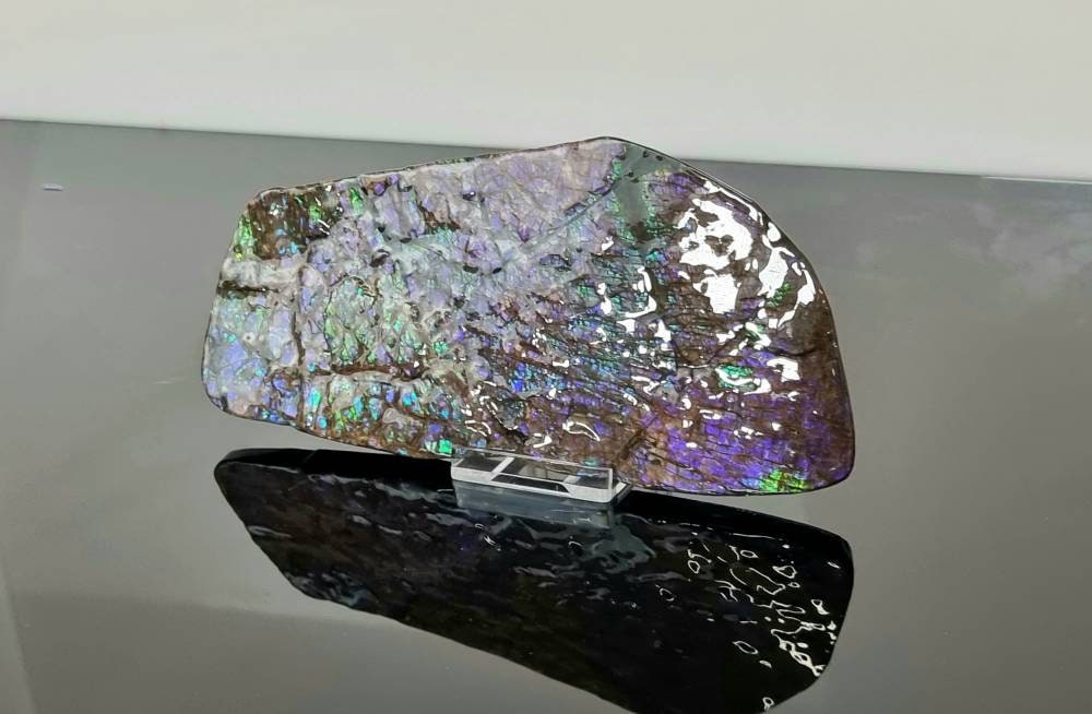 Large Ammolite Crystal Gemstone