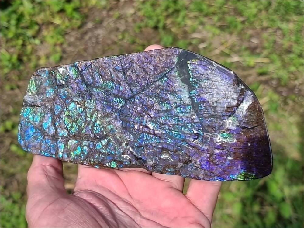 large ammolte crystal gemstone