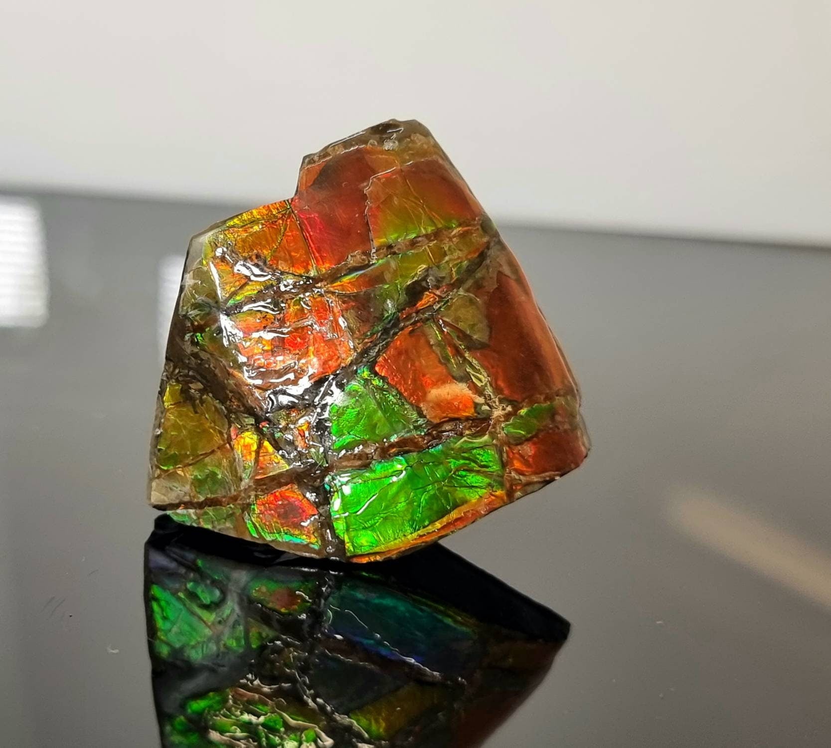 ammolite crystal gemstone canada