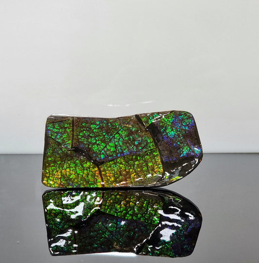 large ammolite crystal gemstone canada