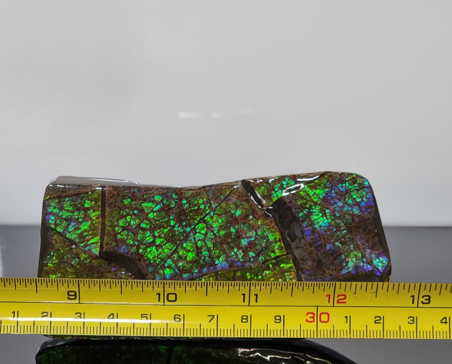12ap) Ammolite Crystal Gemstone