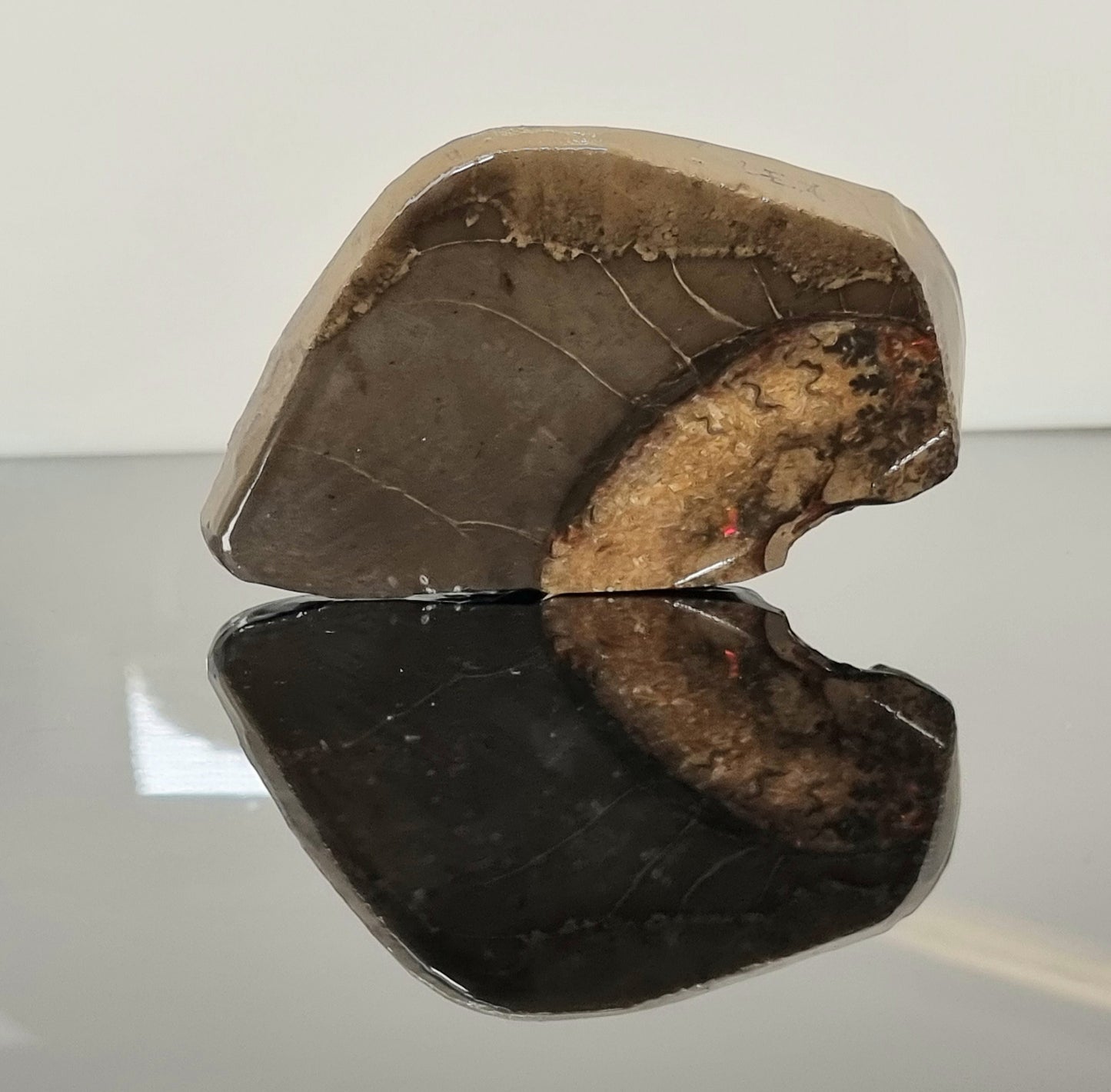 11ap) Ammolite Crystal Gemstone