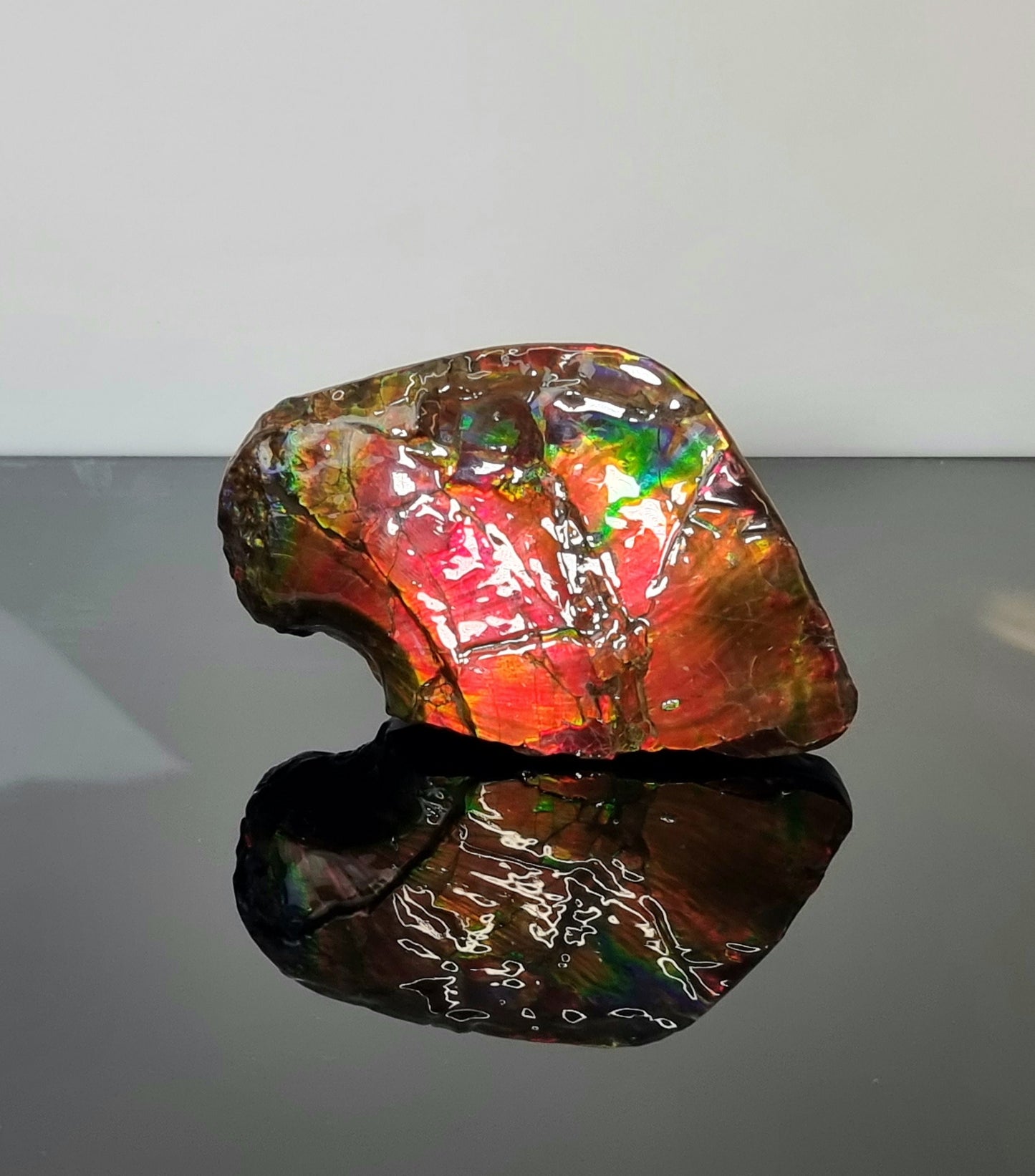 11ap) Ammolite Crystal Gemstone