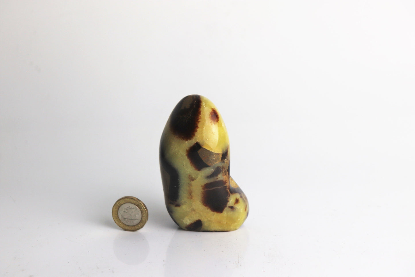 39) Septarian Yellow Calcite Crystal