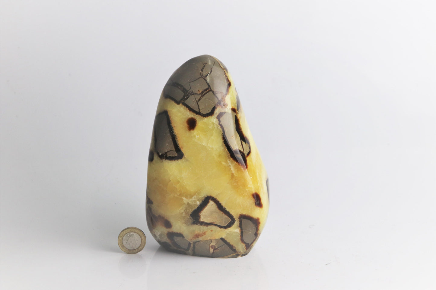 2) Septarian Yellow Calcite Crystal