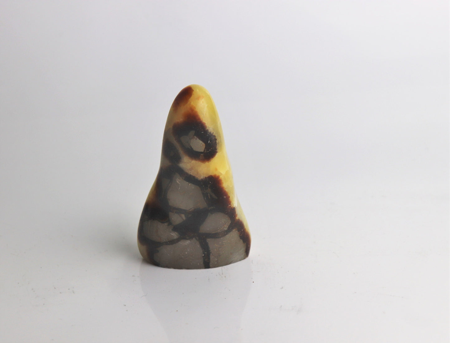 36) Septarian Yellow Calcite Crystal