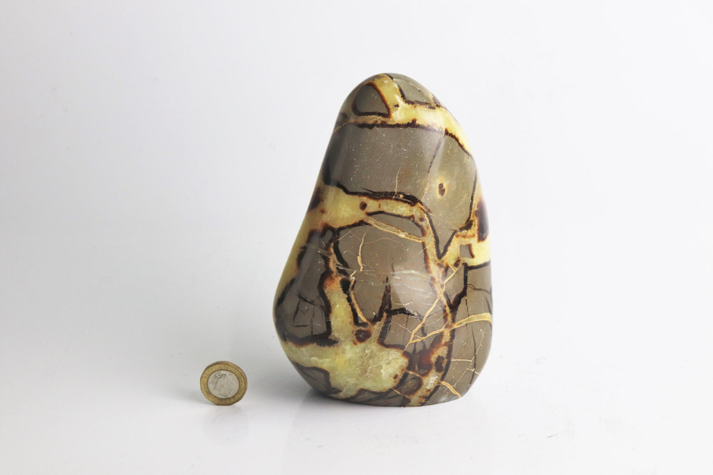 2) Septarian Yellow Calcite Crystal