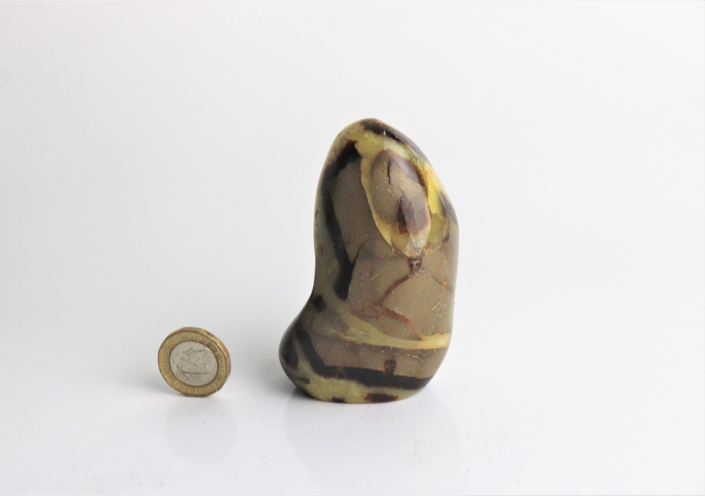 39) Septarian Yellow Calcite Crystal