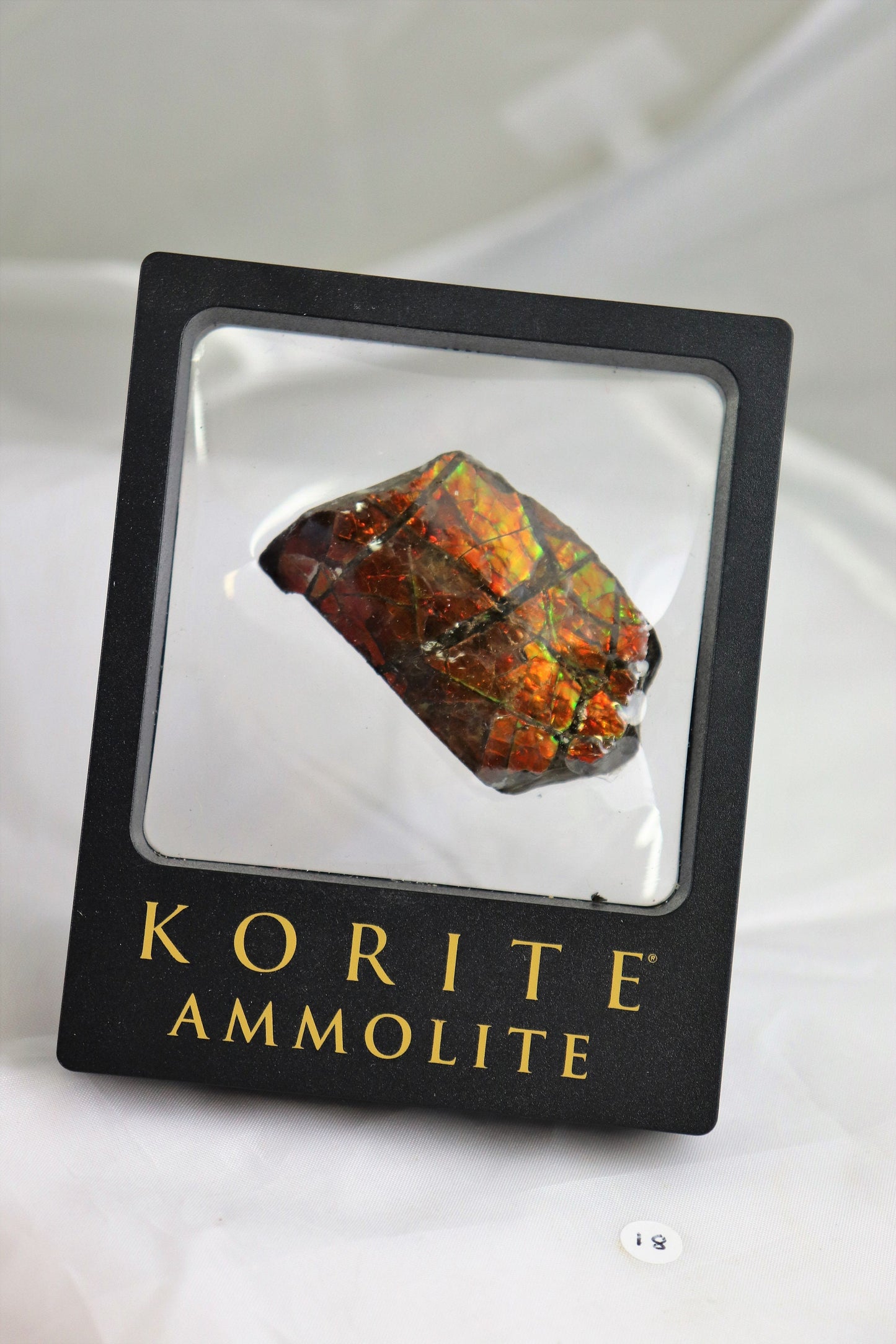 18) Ammolite Crystal Gemstone Canada ~ Opal Ammonite Fossil