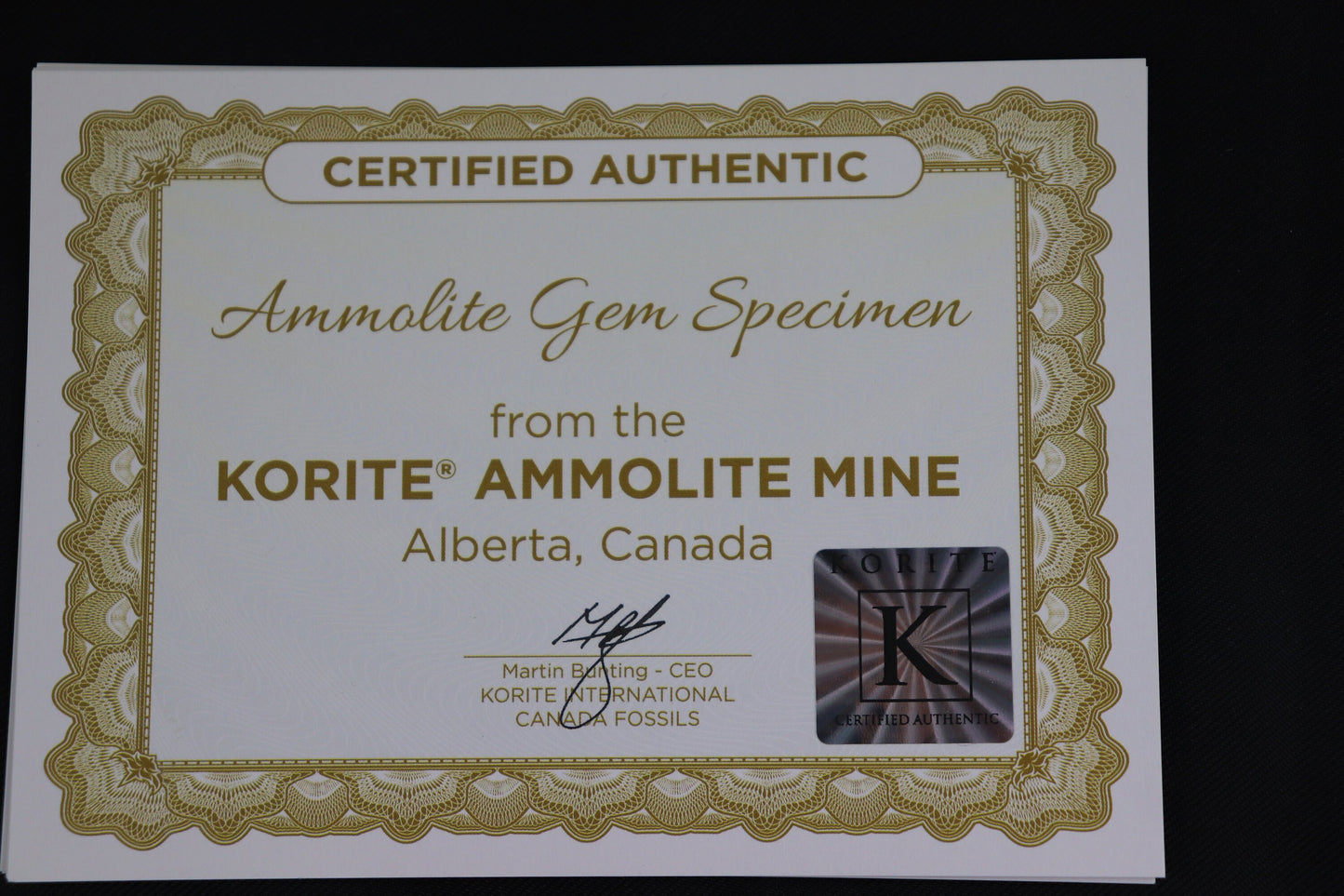 18) Ammolite Crystal Gemstone Canada ~ Opal Ammonite Fossil
