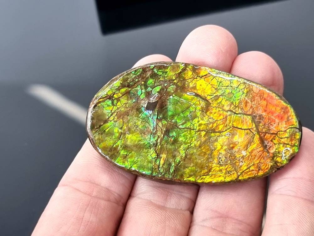 8ap) Ammolite Crystal Gemstone