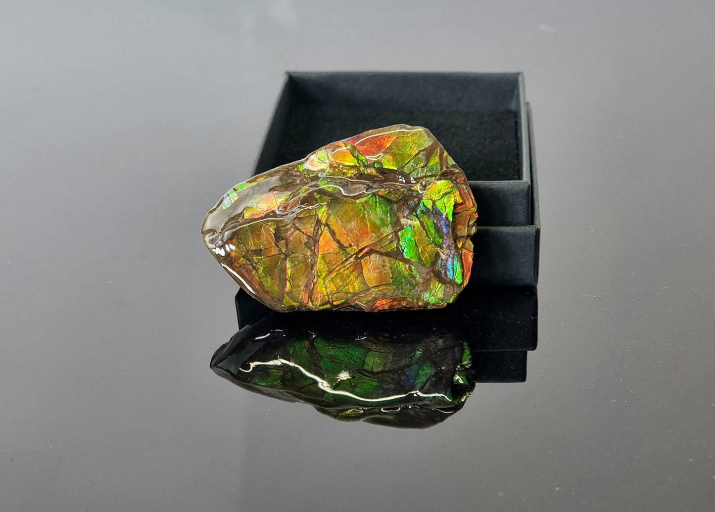 7ap) Ammolite Crystal Gemstone