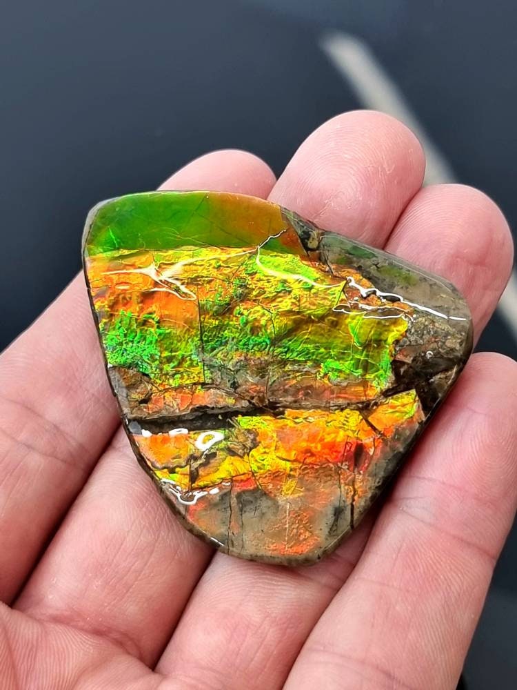 6ap) Ammolite Crystal Gemstone