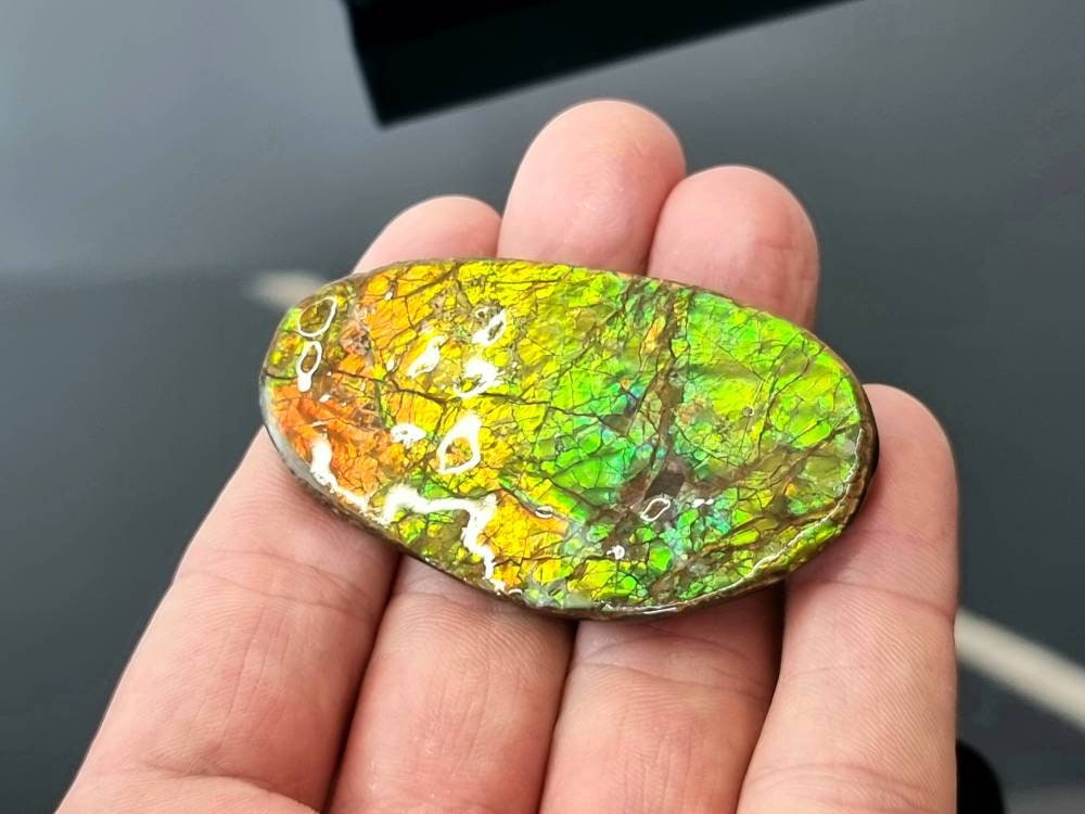 8ap) Ammolite Crystal Gemstone
