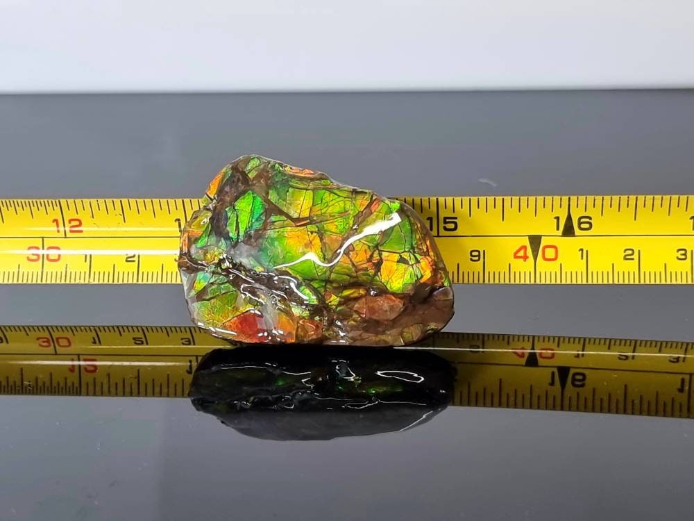 7ap) Ammolite Crystal Gemstone