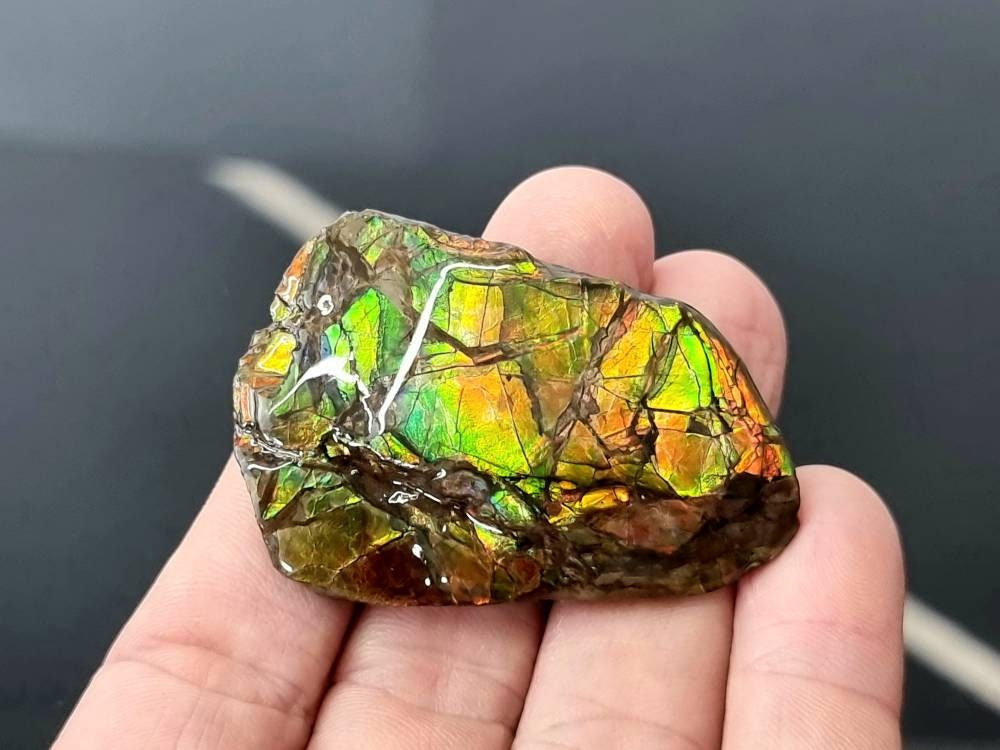 7ap) Ammolite Crystal Gemstone