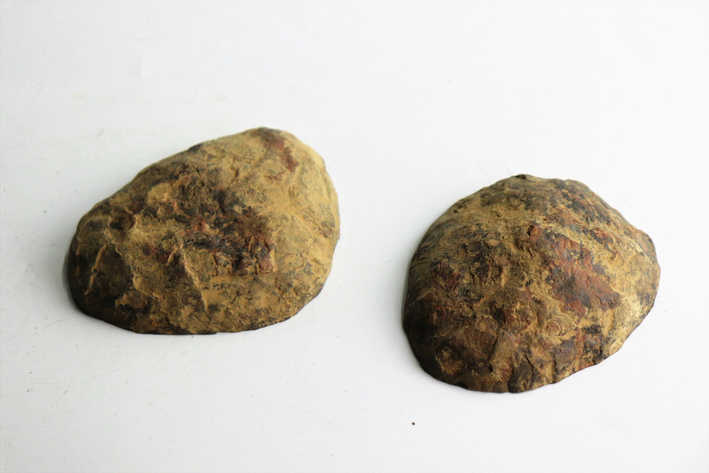 10) Large Septarian Crystal Polished Pair + Free Display Stands