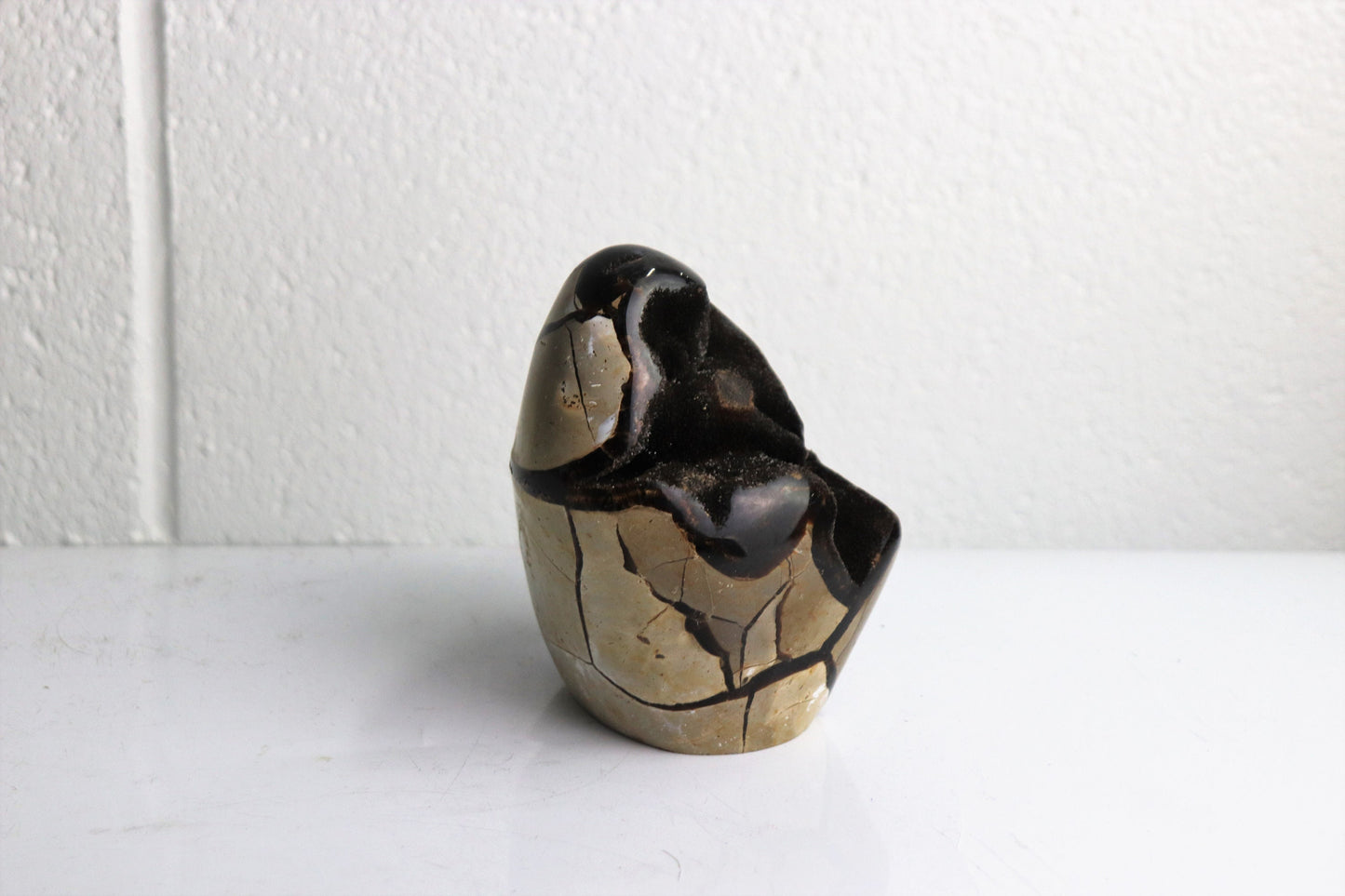 9) Black Septarian Calcite Crystal