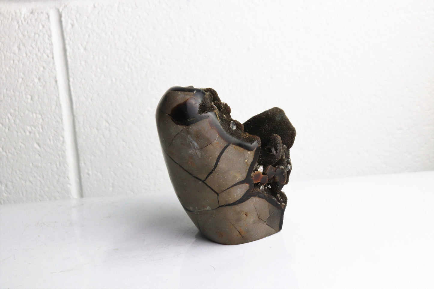 11) Black Septarian Calcite Crystal
