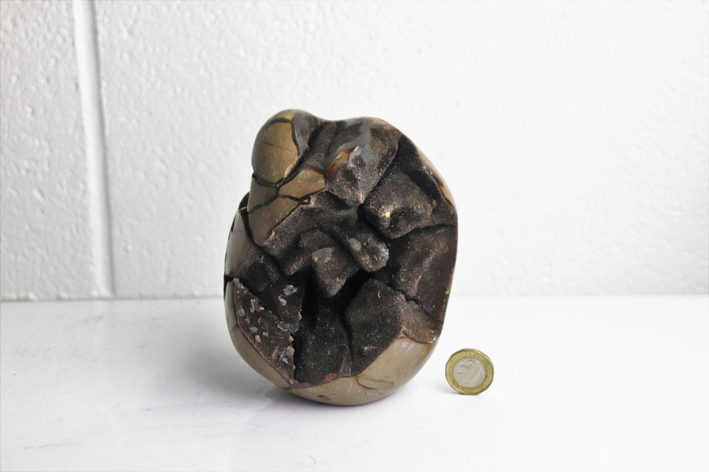 6) Black Septarian Calcite Crystal