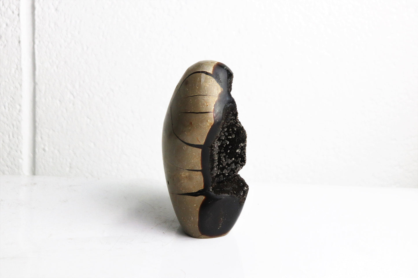 10) Black Septarian Calcite Crystal